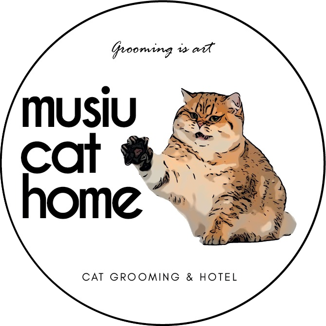 Musiu Cat Home